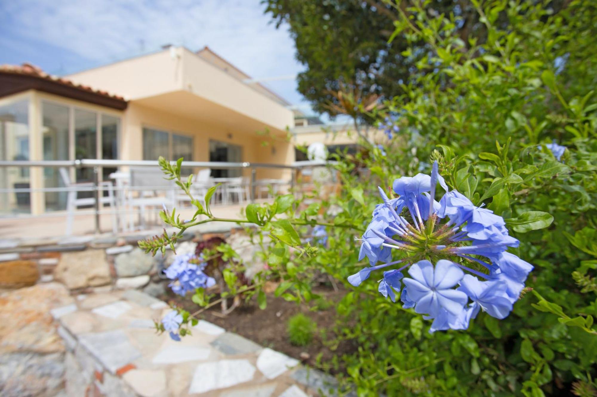 Achilleas Beach Hotel Adults Only Mastihari Exterior foto